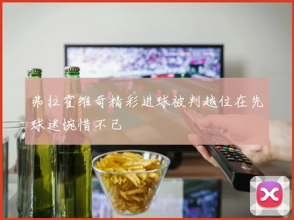 弗拉霍维奇精彩进球被判越位在先球迷惋惜不已